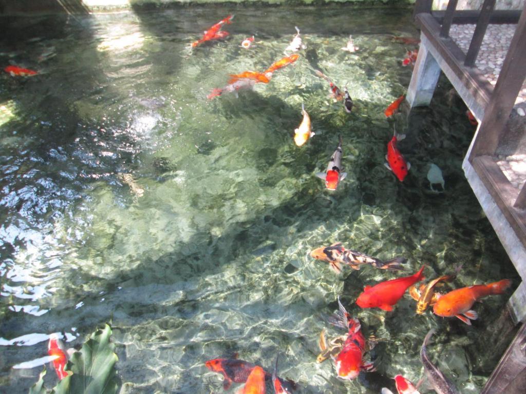 Resort Sukun Bali 3*